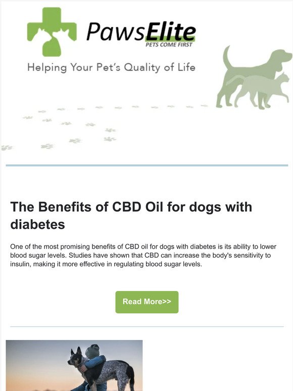 For Dogs with Diabetes