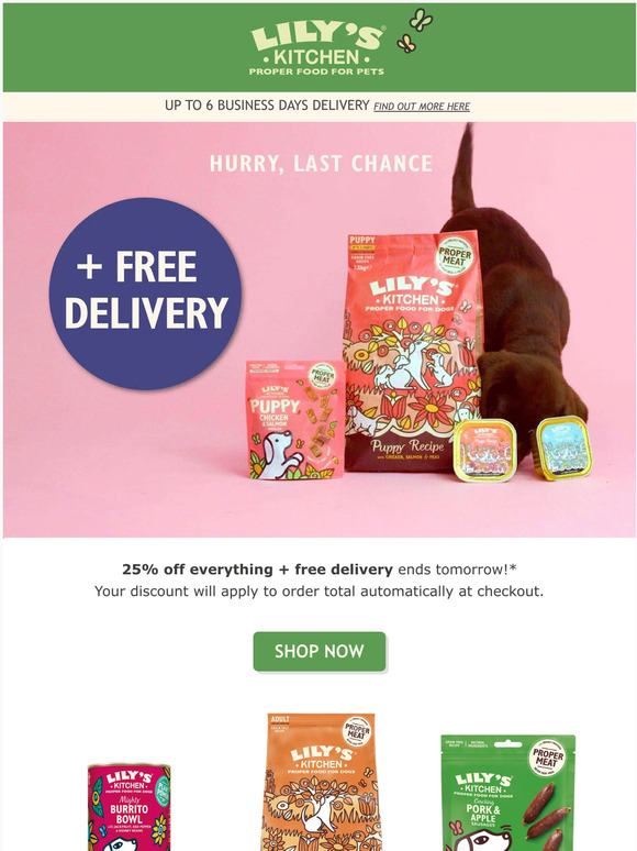 Last chance for 25% off EVERYTHING + free delivery! 🐶