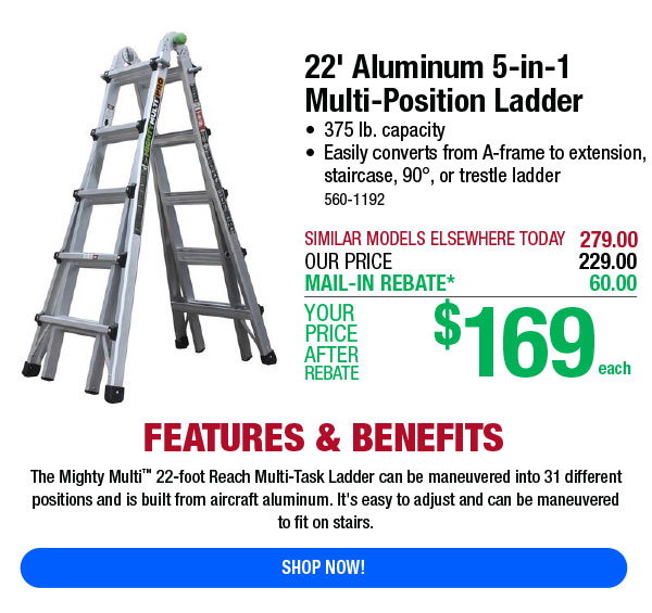 22' Multi-Position Ladder
