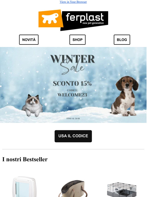 Winter Sale ❄️🤩