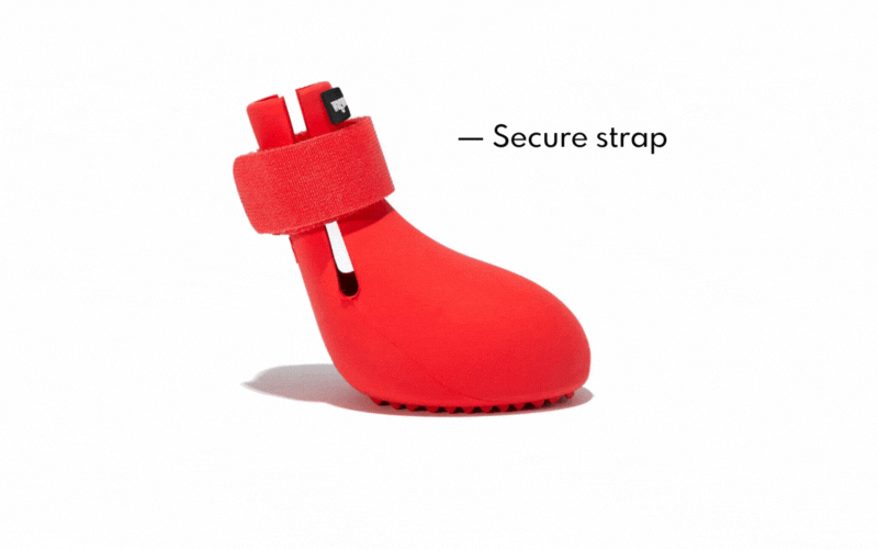 This Dog's Life How to Pick the Perfect Winter Dog Boots and Our