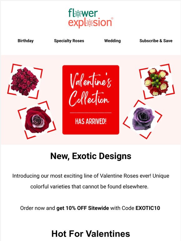 ❤ New exclusive roses for your Valentine! ❤