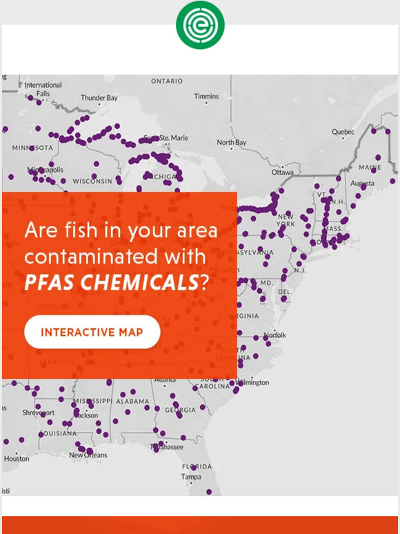 Environmental Working Group: NEW: Interactive map of PFAS in fish | Milled