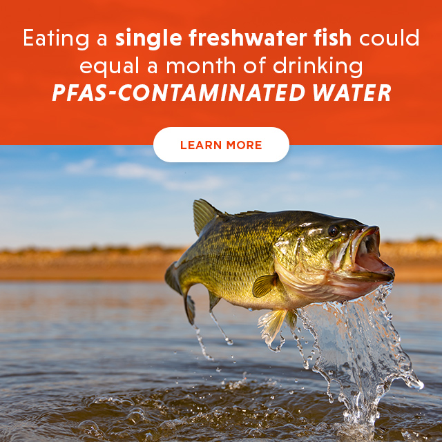 Environmental Working Group: NEW: Interactive map of PFAS in fish | Milled