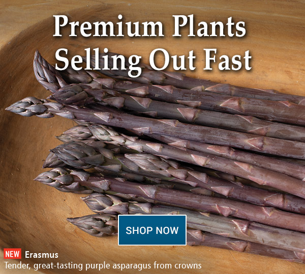 Johnny's Selected Seeds PreOrder Spring Plants Before They’re Gone