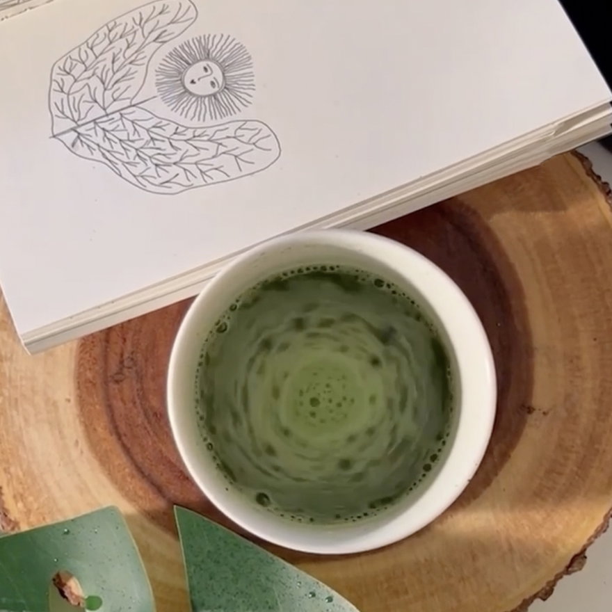 Matcha
