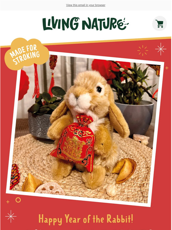 Hoppy Lunar New Year! 🐰
