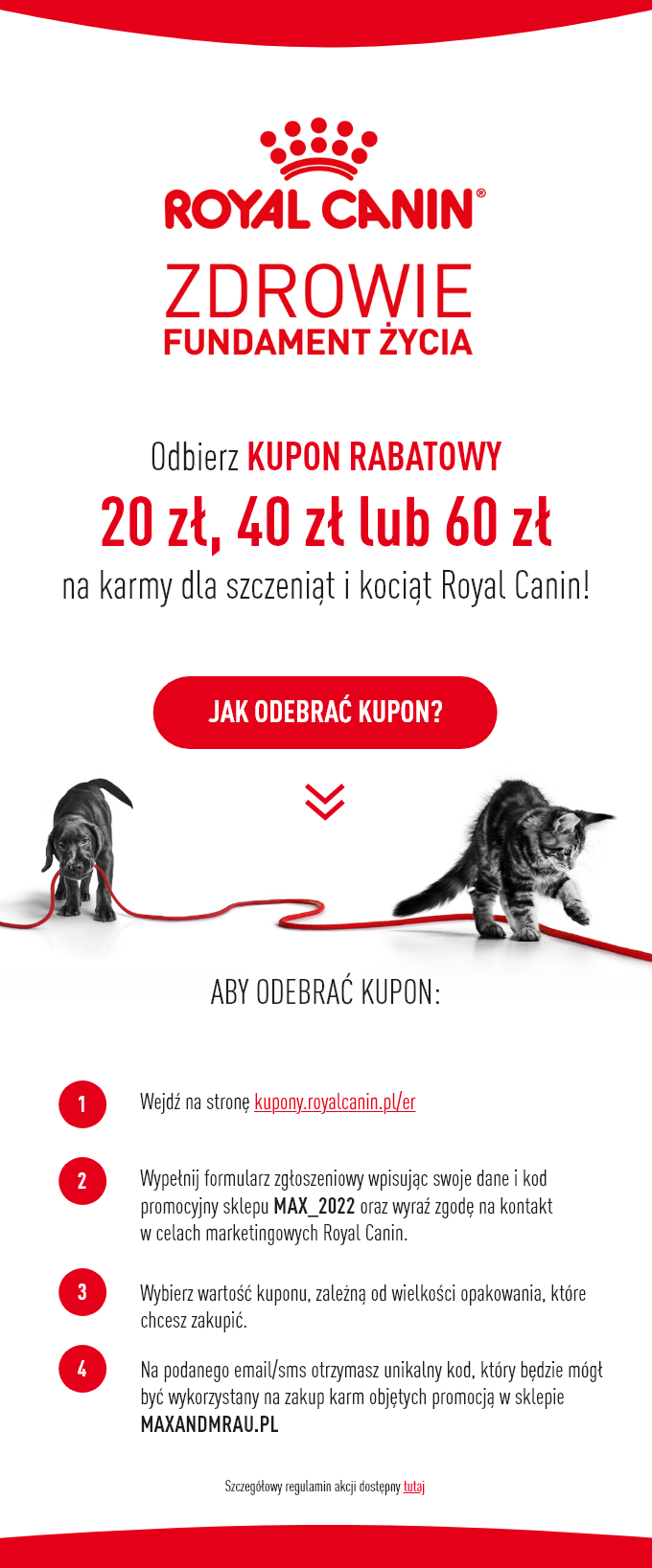 Zimowy niezbędnik