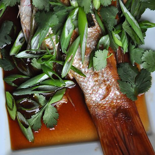 whole red snapper