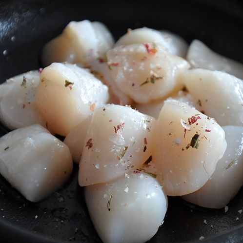 bay scallops