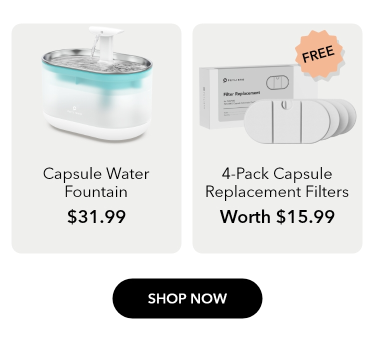 Buy A Capsule Fountain, Get A 4-Pack Filter For Free