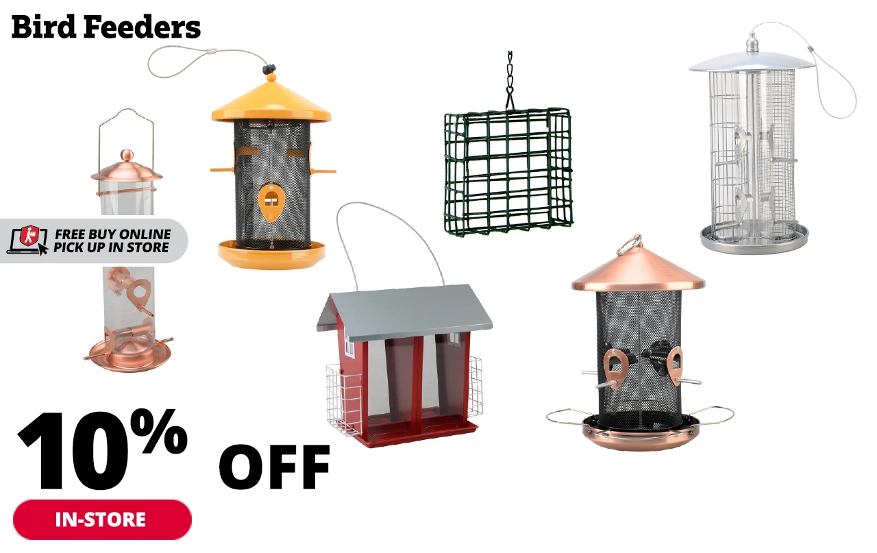 Rural SAVE More With Our New Flyer! 10 Off Bird Feeders + Our Rudy Special Classic