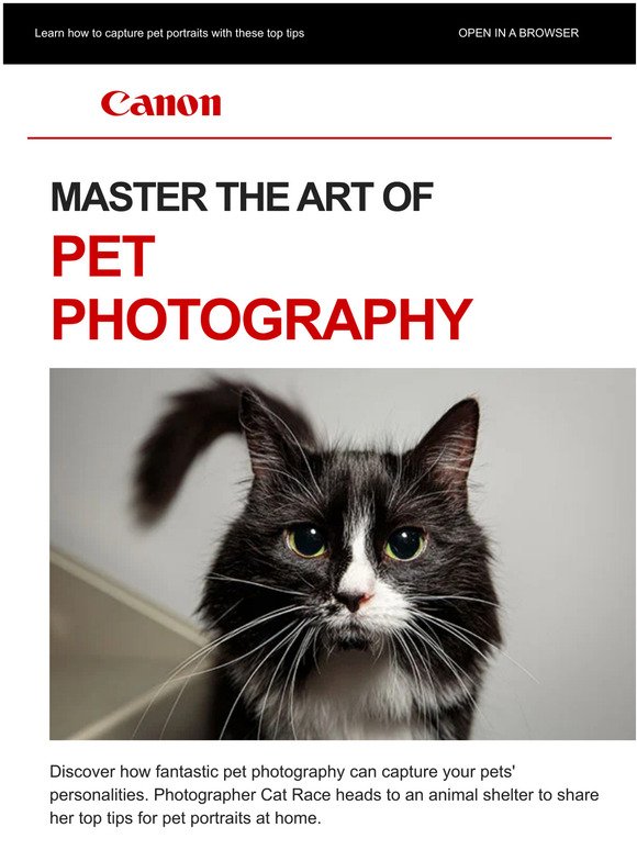 Top tips for pet photography