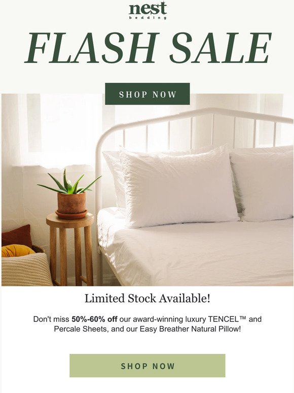 NOW: Flash Sale! 🚨