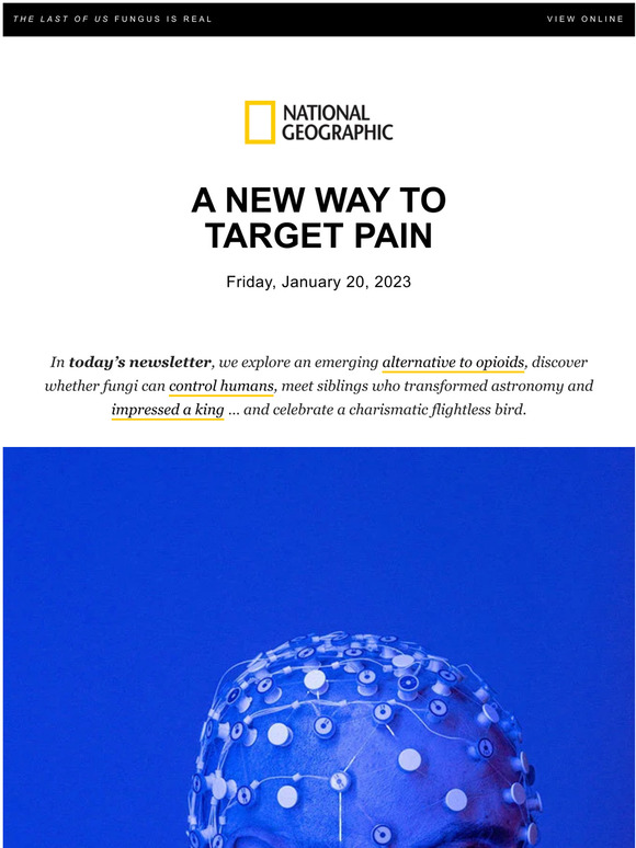 National Geographic Could This Replace Opioids For Chronic Pain Milled