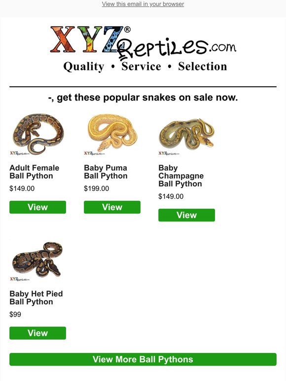🐍 Up to 33% Off These Snakes While Supplies Last