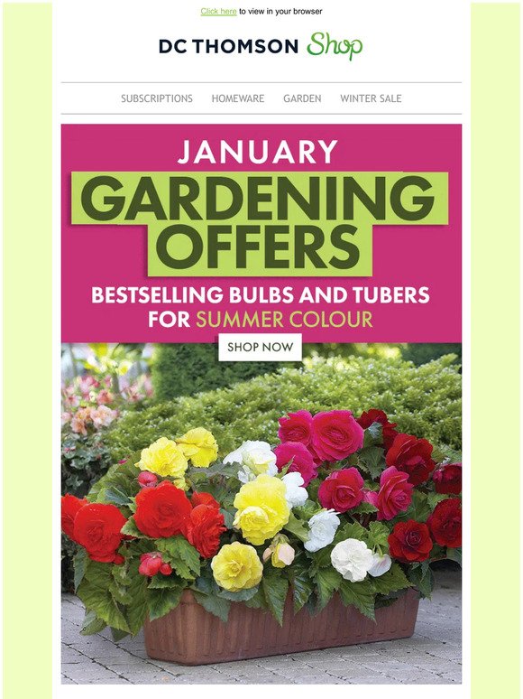 January gardening offers 🌺