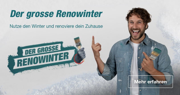 Der grosse Renowinter. Nutze den Winter und renoviere dein Zuhause.