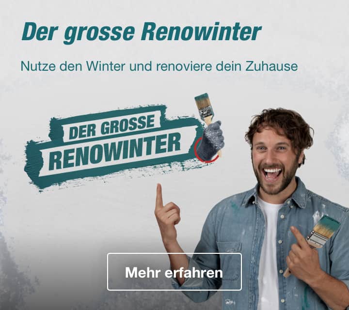 Der grosse Renowinter. Nutze den Winter und renoviere dein Zuhause.