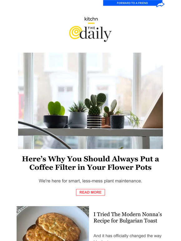 Kitchn Why You Should Always Put a Coffee Filter in Your Flower Pots