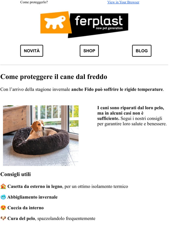 Il cane e il freddo 🐶❄️