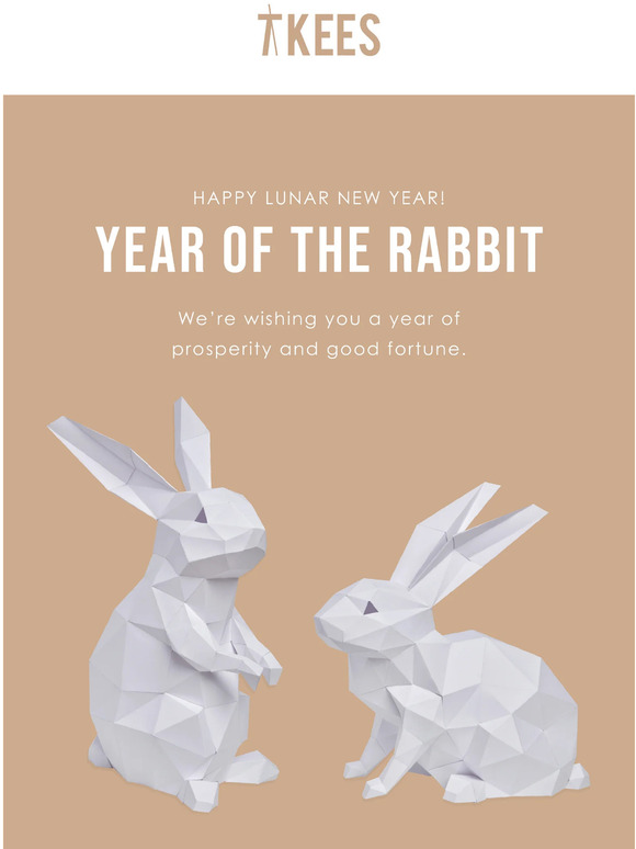 Year of the Rabbit 🐇