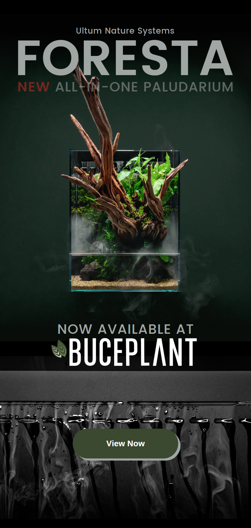 UNS 35E - Foresta Integrated Paludarium