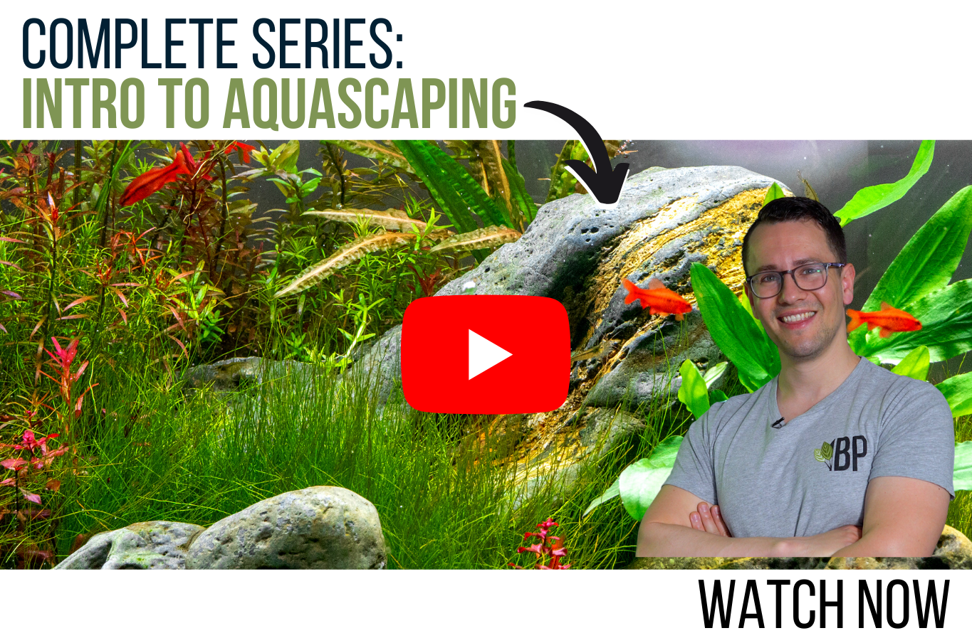 Intro: Aquascaping for Beginners - Learn the Basics | EP1 Planted Tank Overview