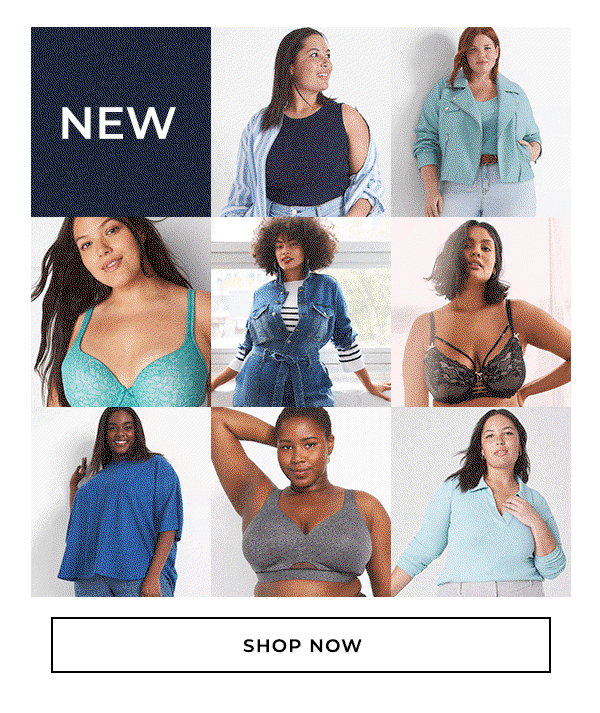 Shop Now