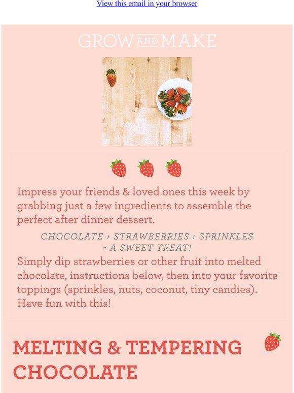 Chocolate Strawberries! 🍓