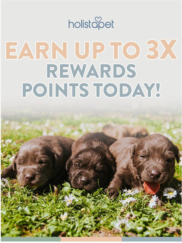Today Only... Get Up to 3X HolistaPoints for Every $1 Spent