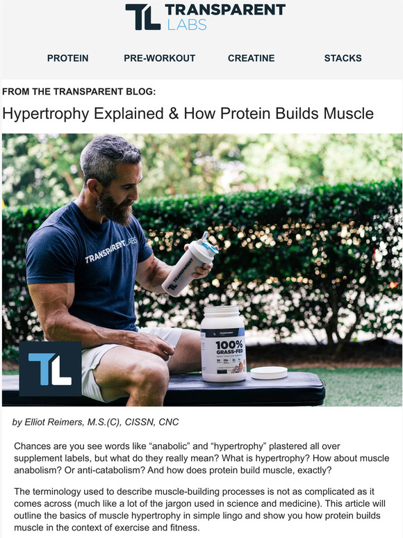 Transparent Labs How Protein Builds Muscle — Hypertrophy Explained