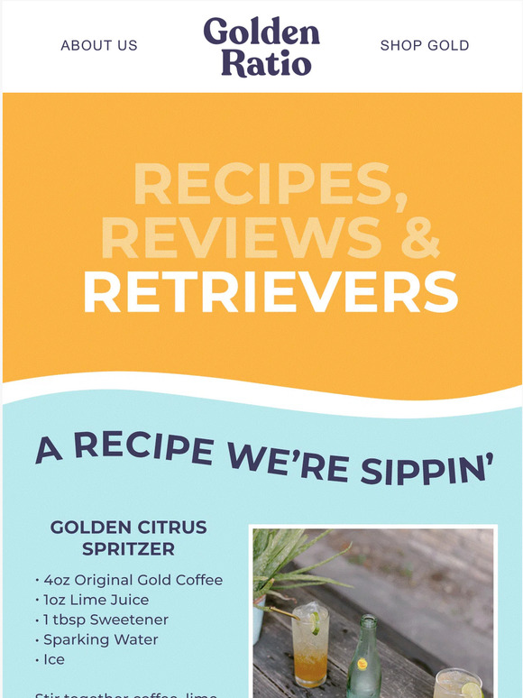 Recipes, Reviews & Retrievers 🌟