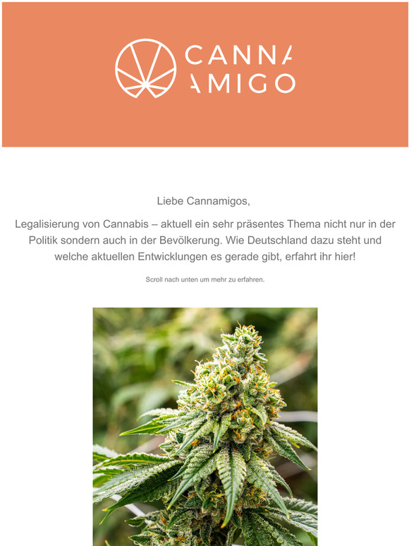 Legalisierung von Cannabis