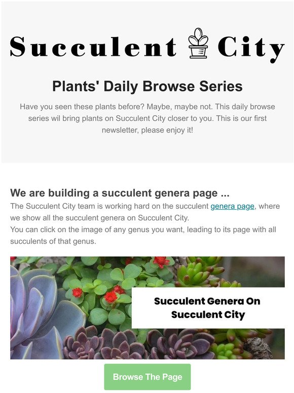 Our 1st daily plant newsletter | Succulent City