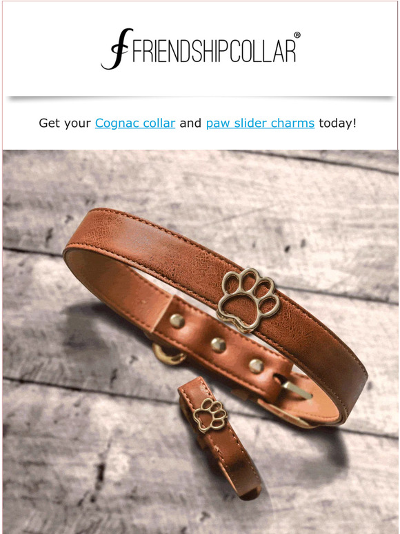 Cognac and Paw charm bundle🐾