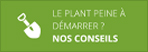 CONSEILS