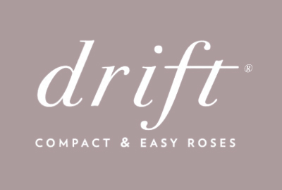 DRIFT LOGO