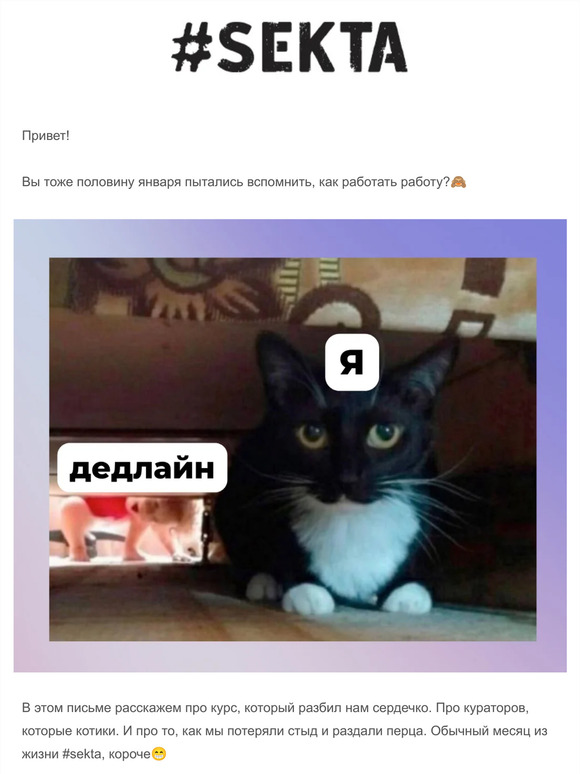 18+, ренейминг, досье на кураторов