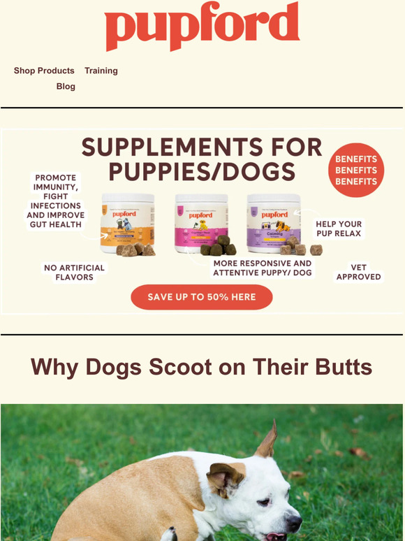 Pupford LLC [article] Why Do Dogs Scoot on Their Butts? Milled