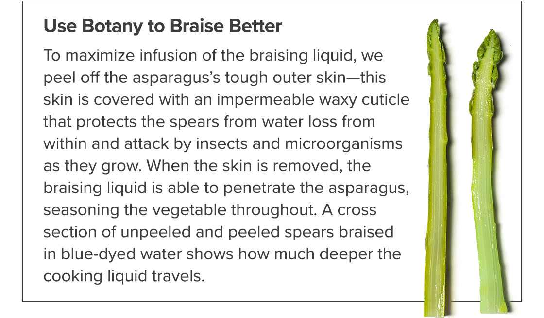 Use Botany to Braise Better