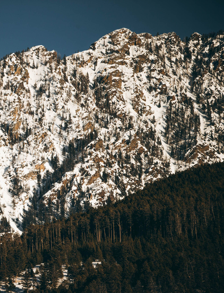 Cherry LA Yellowstone x Cherry Los Angeles Milled