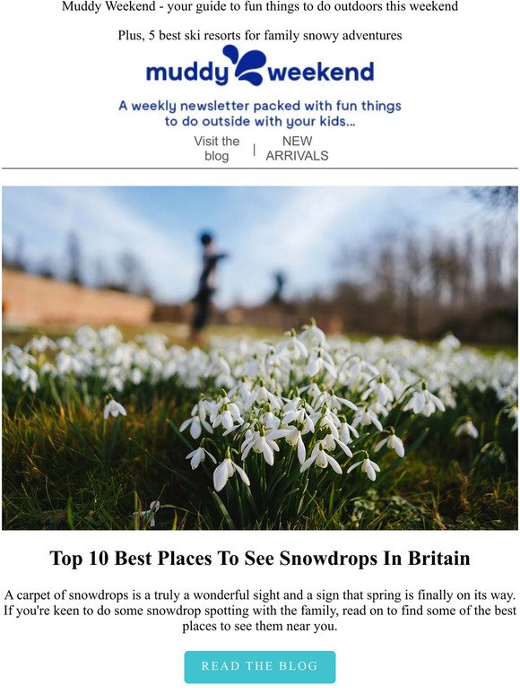 Top 10 Best Places To See Snowdrops In Britain 🌱