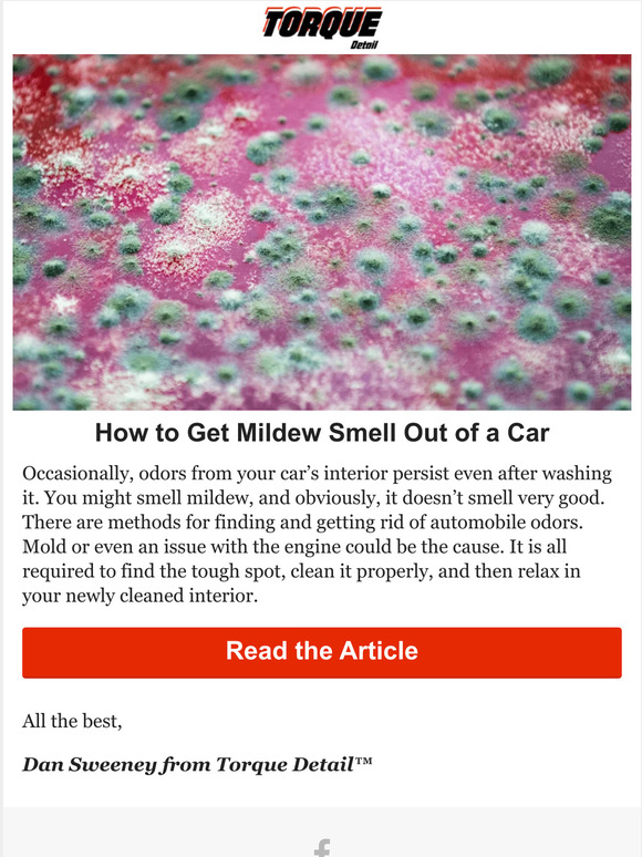 Get Mildew Smell Out Of Car