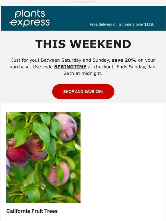 💗 Save 20% This Weekend Only