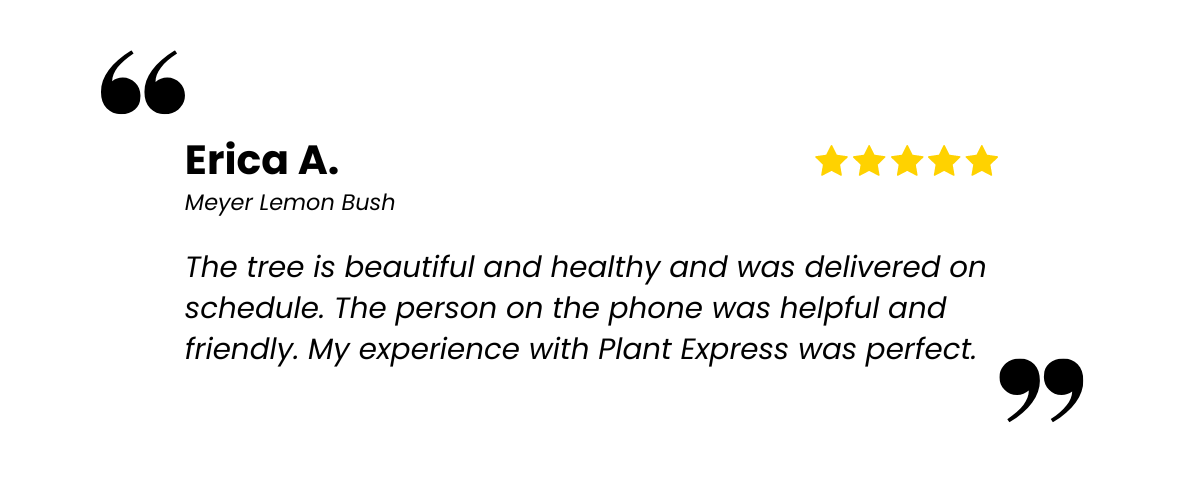 Plants Express