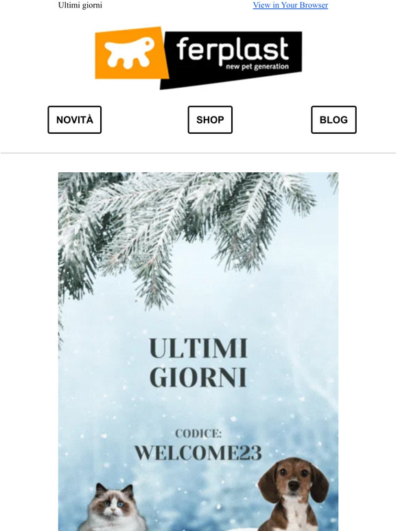 Winter Sale ❄️🤩