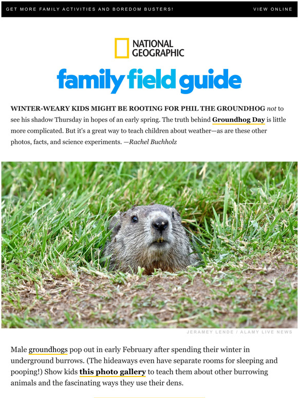 National Geographic: Can groundhogs predict the weather? Show kids the