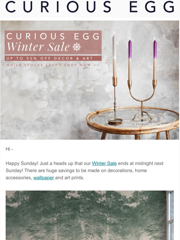 The Curious Egg Winter Sale Ends Soon! ✨