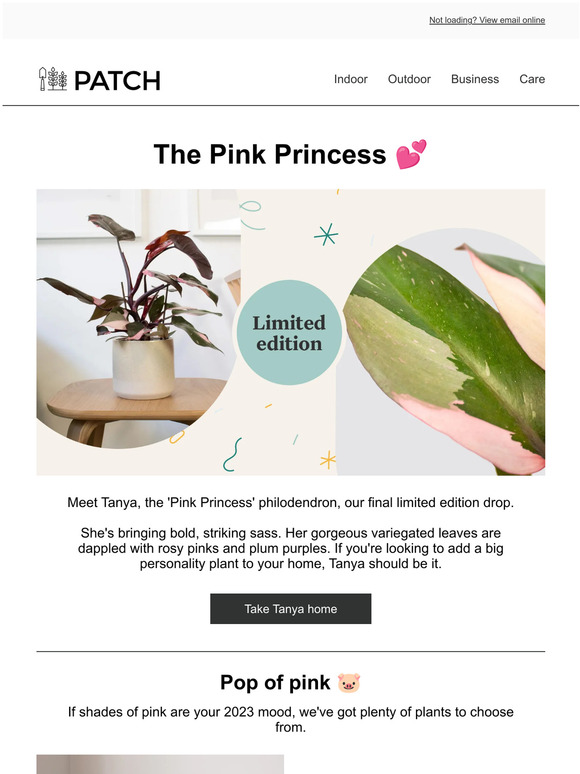 Patch Plants Our final limited edition drop 💖 Milled